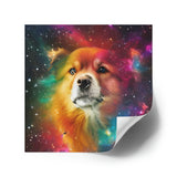 Canine Constellations Stickers #1