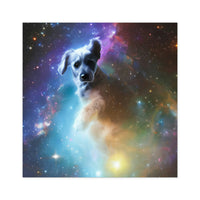 Canine Constellations Stickers #2