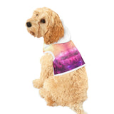 Nebula Pup Hoody
