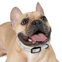 Dog Collar