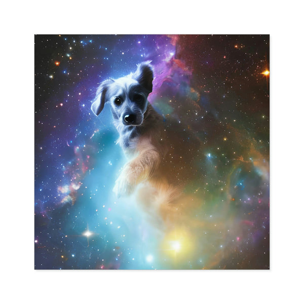 Canine Constellations Stickers #2