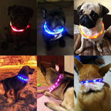 Protect-a-PUP LED Rechargeable Collar